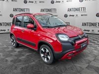 Usata Fiat Panda Cross Cross 69 CV (50 kW) 2024 Rosso Utilitaria