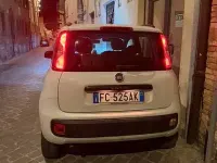 Usata Fiat Panda 85 CV (62 kW) 2016 Bianco Utilitaria