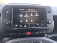 Usata Fiat Panda Cross Cross 69 CV (50 kW) 2024 Rosso Utilitaria