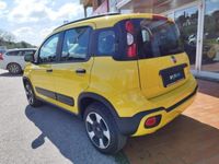 usata Fiat Panda Cross 1.0 FireFly S&S Hybrid