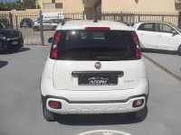Usata Fiat Panda Cross Cross 70 CV (51 kW) 2021 Bianco Utilitaria