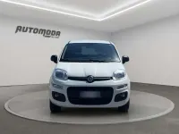 Usata Fiat Panda 4x4 84 CV (61 kW) 2020 Bianco Utilitaria