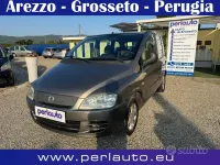 Usata Fiat Multipla Active 103 CV (75 kW) 2010 Bronzo Monovolume