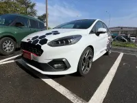 Usata Ford Fiesta ST 200 CV (147 kW) 2019 Bianco Utilitaria