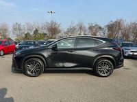 Usata Lexus NX300 243 CV (178 kW) 2023 Other SUV