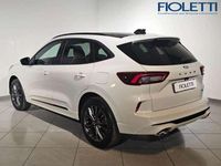 Usata Ford Kuga 2026 Bianco SUV