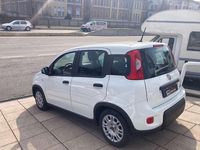 Usata Fiat Panda City Life 69 CV (50 kW) 2023 Bianco Utilitaria