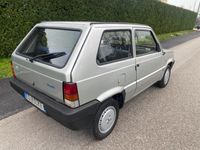 usata Fiat Panda 1100 i.e. cat Young