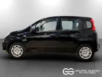 Nuova Fiat Panda Pop 65 CV (47 kW) 2026 Nero cinema pastello Utilitaria