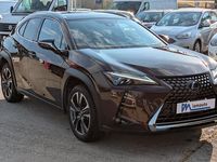 Usata Lexus UX 250h 152 CV (111 kW) 2021 Marrone SUV