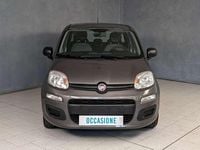 Usata Fiat Panda 70 CV (51 kW) 2022 Gray Utilitaria