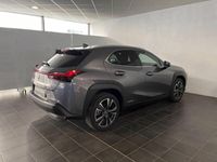 usata Lexus UX Full Electric Premium del 2020 usata a Torino