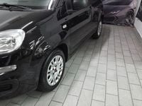 Usata Fiat Panda Lounge 95 CV (69 kW) 2014 Nero Utilitaria