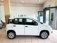 Usata Fiat Panda 80 CV (58 kW) 2015 Bianco Berlina