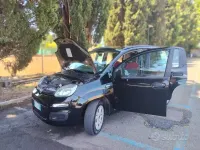 Usata Fiat Panda 85 CV (62 kW) 2014 Utilitaria