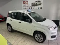 Usata Fiat Panda 70 CV (51 kW) 2020 Bianco Utilitaria