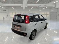 Usata Fiat Panda Easy 69 CV (50 kW) 2019 Bianco Utilitaria