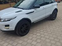 Usata Land Rover Range Rover evoque Pure 150 CV (110 kW) 2013 Bianco SUV