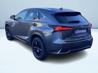 usata Lexus NX300 300 2.5 Hybrid Premium 4WD CVT