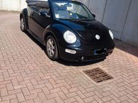 Usata VW New Beetle 2003 Nero Utilitaria