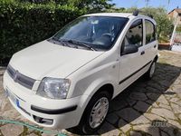 Usata Fiat Panda 2009 Bianco Utilitaria