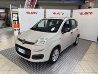 Usata Fiat Panda Easy 69 CV (50 kW) 2016 Beige Utilitaria