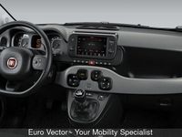 Usata Fiat Panda S 70 CV (51 kW) 2023 Bianco Utilitaria