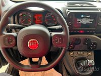Usata Fiat Panda Cross Cross 70 CV (51 kW) 2023 Grigio Utilitaria