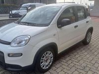 Usata Fiat Panda S 69 CV (50 kW) 2023 Bianco Utilitaria