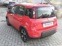 Usata Fiat Panda Sport 69 CV (50 kW) 2021 Rosso Utilitaria