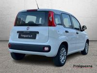 Usata Fiat Panda Lounge 69 CV (50 kW) 2015 Bianco Utilitaria