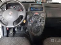 Usata Fiat Panda 77 CV (56 kW) 2009 Utilitaria