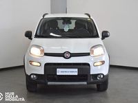 Usata Fiat Panda 4x4 Wild 86 CV (63 kW) 2022 Bianco Utilitaria