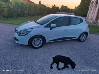 Usata Renault Clio IV Zen 75 CV (55 kW) 2017 Bianco Berlina