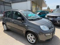 Usata Fiat Panda City Life 69 CV (50 kW) 2022 Grigio Utilitaria