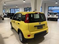 Usata Fiat Panda S 69 CV (50 kW) 2024 Giallo Utilitaria
