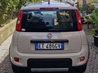 Usata Fiat Panda 4x4 75 CV (55 kW) 2013 Beige Utilitaria
