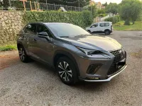 Usata Lexus NX300h Sport Line 155 CV (114 kW) 2019 Grigio SUV