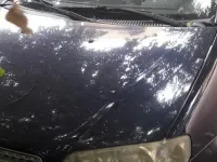 Usata Fiat Punto 60 CV (44 kW) 2010 Bluazzurro Utilitaria