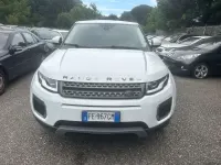 Usata Land Rover Range Rover evoque SE Dynamic 150 CV (110 kW) 2016 Bianco SUV