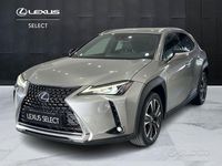 Usata Lexus UX 250h Executive Line 184 CV (135 kW) 2019 Grigio SUV