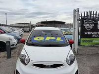 Usata Kia Picanto 68 CV (50 kW) 2014 Bianco Utilitaria