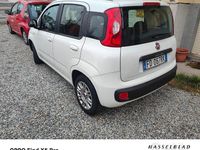 Usata Fiat Panda Star 80 CV (58 kW) 2015 Bianco Berlina