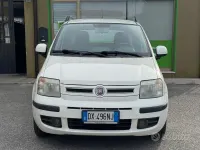 Usata Fiat Panda Dynamic 60 CV (44 kW) 2009 Bianco Utilitaria