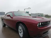 Usata Dodge Challenger 305 CV (224 kW) 2019 Bordeaux Coupé