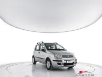 Usata Fiat Panda Dynamic 60 CV (44 kW) 2004 Grigio Utilitaria