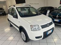 Usata Fiat Panda 4x4 Climbing 59 CV (43 kW) 2009 Bianco Utilitaria
