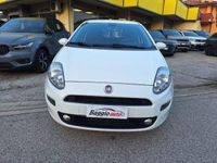 usata Fiat Punto 1.3 MJT 95CV 5 porte Van 4 posti N1 N°FR741