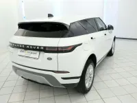 Usata Land Rover Range Rover evoque S 163 CV (119 kW) 2021 Bianco SUV