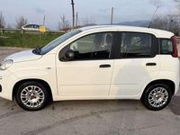 Usata Fiat Panda Easy 69 CV (50 kW) 2022 Utilitaria